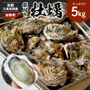 【ふるさと納税】高評価★5.0 高レビュー 京都・京丹後産 牡蠣5kg（ 約50個 ） 久美浜かき 牡蠣 かき カキ 養殖 半斗缶 焼き牡蠣 蒸し牡蠣 殻付き 人気 国産 貝類 魚介類 ふるさと納税 牡蠣 肉厚 濃厚 海のミルク 新鮮 海鮮 晩酌 魚貝類 殻付きカキ 京都産 日本海産