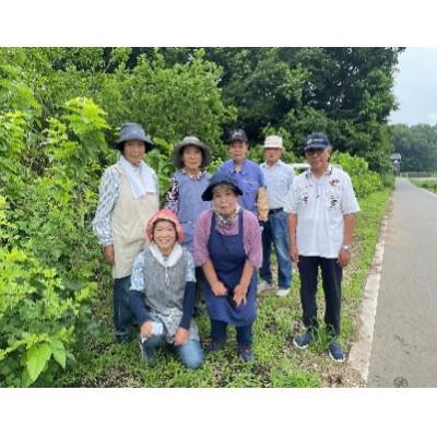 ふるさと納税 小山市 桑地区栽培　桑の葉パウダー100%　50g |  | 01