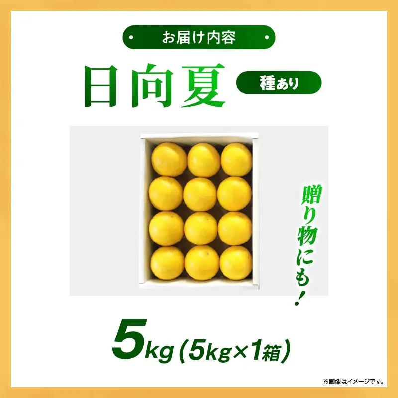 【先行受付】初春の旬「日向夏」種あり 5kg 果物 フルーツ くだもの 柑橘 フルーツサンド おやつ スイーツ デザート ジャム おすすめ ギフト 贈り物 贈答 プレゼント おすそ分け お返し 宮崎県