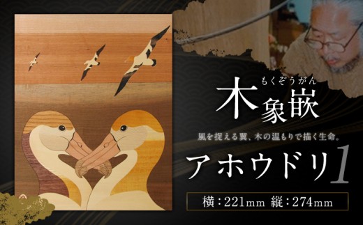 千葉県伝統工芸品 木象嵌 アホウドリ➀ 1枚 221mm×274mm 楽堂工房 《30日以内に出荷予定(土日祝除く)》千葉県 我孫子市 楽堂象嵌 工芸品 工芸 自然木 天然の木 アート 作品 木材 インテリア