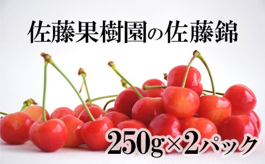 No.2204【先行予約】さくらんぼ 佐藤錦500g（250g×2パック）【2024年発送】