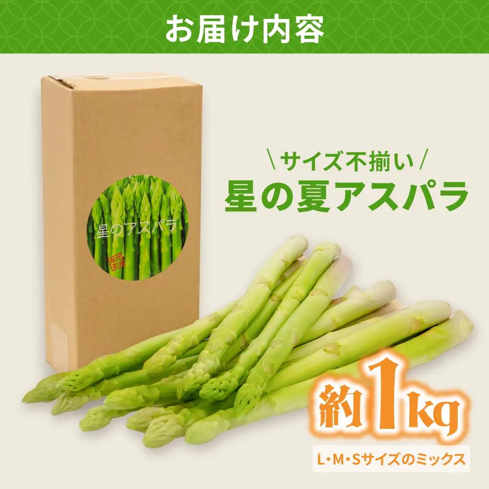 【訳あり】【星のアスパラ】グリーンアスパラガス 約1kg 【サイズ不揃い L-S】 / 訳アリ 規格外 産地直送 アスパラ あすぱら あすぱらがす 採れたて 新鮮 旬 産地直送 / 南島原市 / ほし