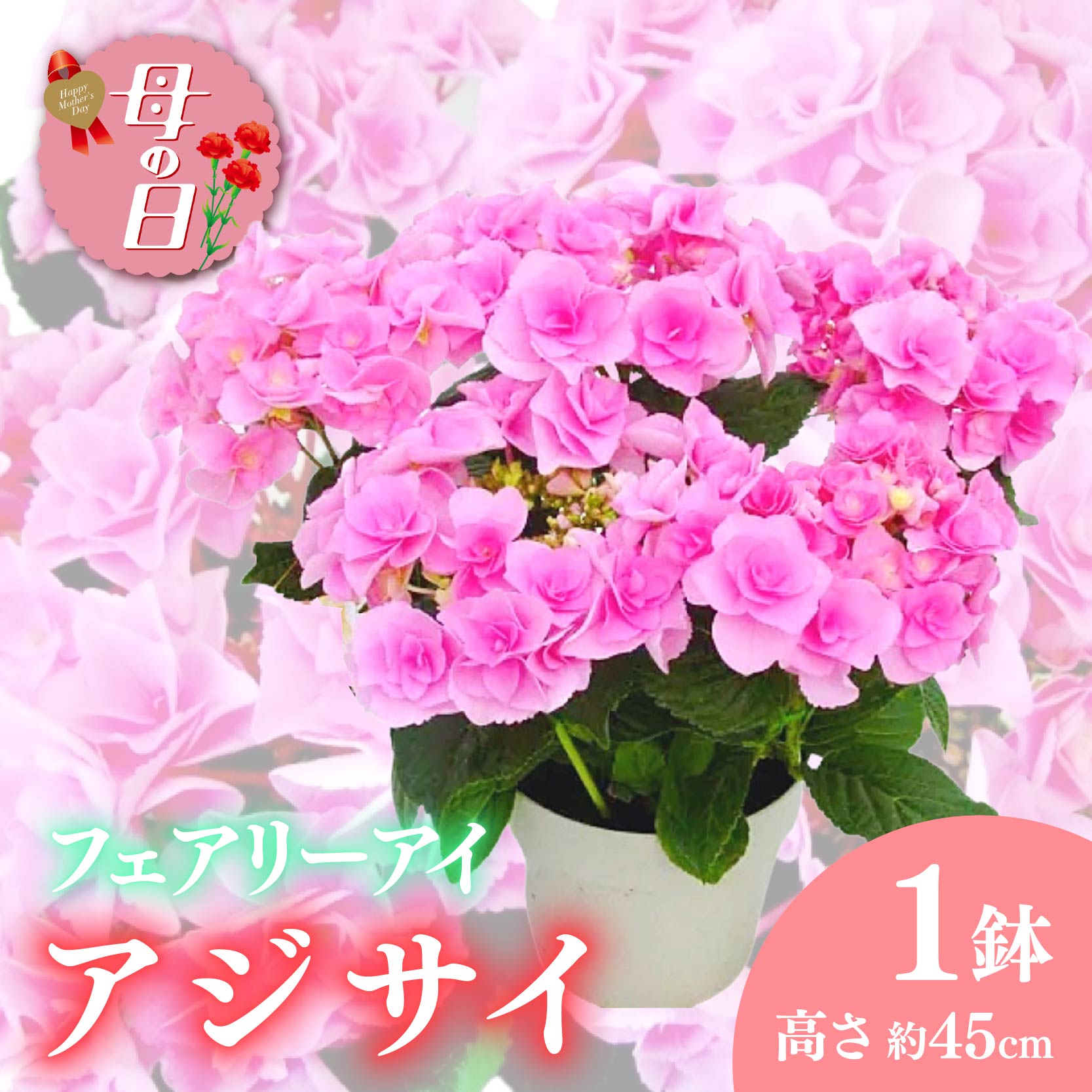 【ふるさと納税】 【先行予約】 母の日に！ アジサイ 鉢植え フェアリーアイ ピンク 5号 お花 新品種 花鉢 ギフト 母の日 ガーデニング 贈り物 贈答 紫陽花 2026年5月から順次発送 オンライン決済限定 静岡県 藤枝市