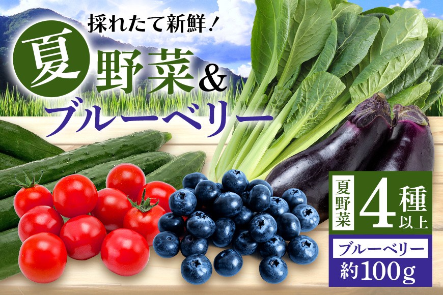 
                  【数量限定・先行予約】小美玉産ブルーベリー＆野菜4種類以上セット(夏) ブルーベリー 野菜 旬 夏野菜 セット お楽しみ ミニトマト きゅうり なす じゃがいも 小松菜 ほうれん草 玉ねぎ アスパラガス 茨城県 小美玉市 【6月中旬～8月中旬発送予定】93-F
                