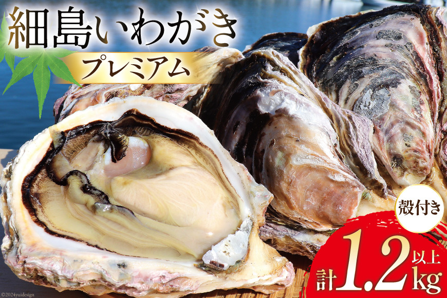 
                  牡蠣 細島天照岩牡蠣 ※プレミアム 4個 計1.2kg 殻付き 【期間限定発送】[一福丸 宮崎県 日向市 452060572] 生食 かき カキ 生牡蠣 岩牡蠣 岩ガキ 貝 海鮮 魚介 魚介類 冷蔵 新鮮 ふるさと納税 濃厚 クリーミー BBQ 期間限定 細島 ほそしま 日豊海岸
                