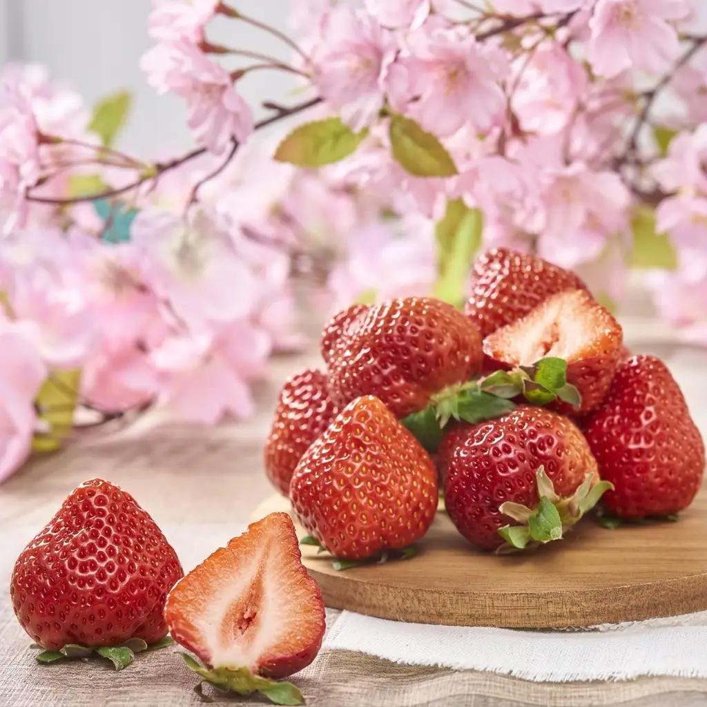 いちご あまおう 6パック 1Pあたり約250g 春 いちご