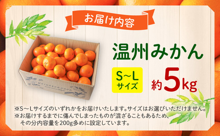 《2025年発送先行予約》【期間・数量限定】温州みかん5kg(傷み補償分200g付き) 果物 ミカン 柑橘