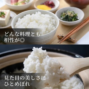 Y487 因幡の白兎米 ひとめぼれ 令和7年産 精米済 10kg（5kg×2袋）