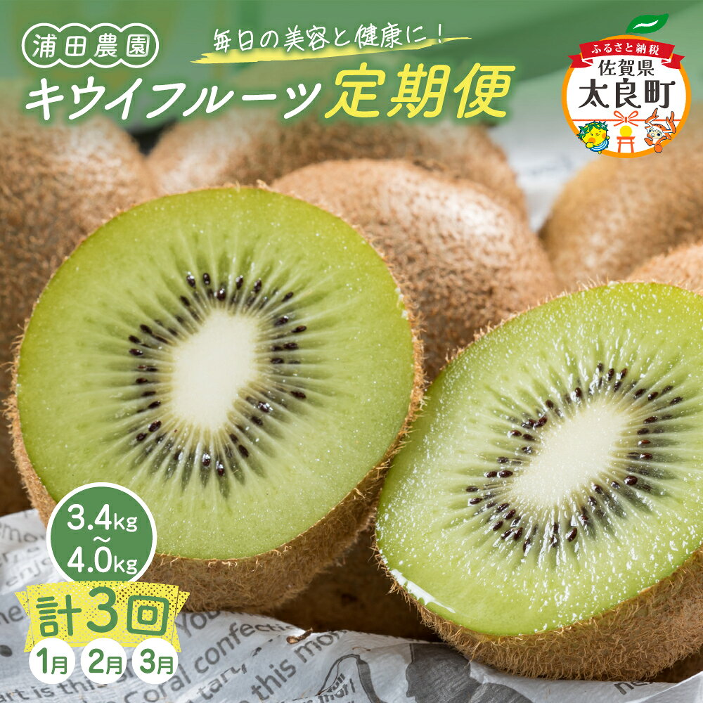 【ふるさと納税】が喜ぶ☆キウイフルーツ定期便3回コース 定期便 3回 20〜32個 3.4kg〜4kg ヘイワード ヘイワードキウイ キウイフルーツ キウイ フルーツ くだもの 果物 ミネラル豊富 太良町 国産 浦田農園 Q44x1 【2027年1月上旬～3月上旬発送予定】