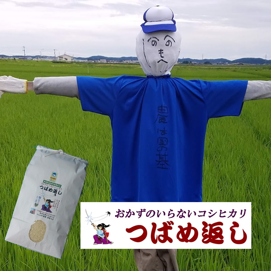 
                  【令和8年産米予約受付中】おかずのいらないコシヒカリ「つばめ返し」白米8kg FC022087
                