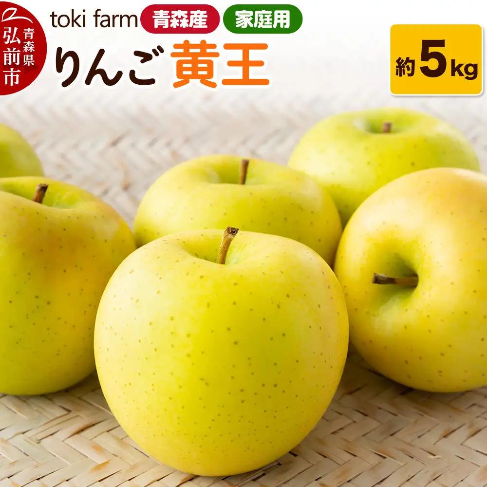 【26年8月～クール便発送】りんご 黄王（きおう） 約5kg（12～18玉程度）家庭用 toki farm