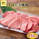 【ふるさと納税】TK040神戸牛上ロース焼肉250g [1072]