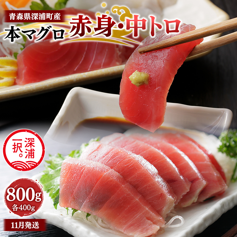 青森県深浦町産 天然本マグロ 赤身 中トロ 800g 各400g 食べ比べ 冷凍柵 深浦マグロ 刺身 海鮮 鮪 まぐろ【fu-0015-022_11】