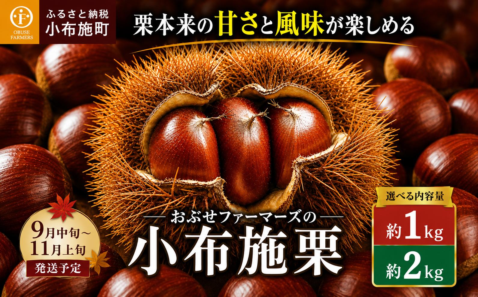 
                   無くん蒸小布施栗 約1kg 約2kg 選べる内容量 ［おぶせファーマーズ］ 果物 フルーツ 生栗 くり 長野県産 信州産 令和8年産 【2026年9月中旬～11月上旬発送】 
                