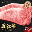 【ふるさと納税】 近江牛 サーロイン ステーキ 250g×2枚 （箱なしエコ包装） ブランド牛 牛肉 高級 人気 国産 楽天 寄付 返礼品 お歳暮 ギフト プレゼント お祝い 贈り物 ふるさと納税 近江 東近江 E-E05 いろは精肉店