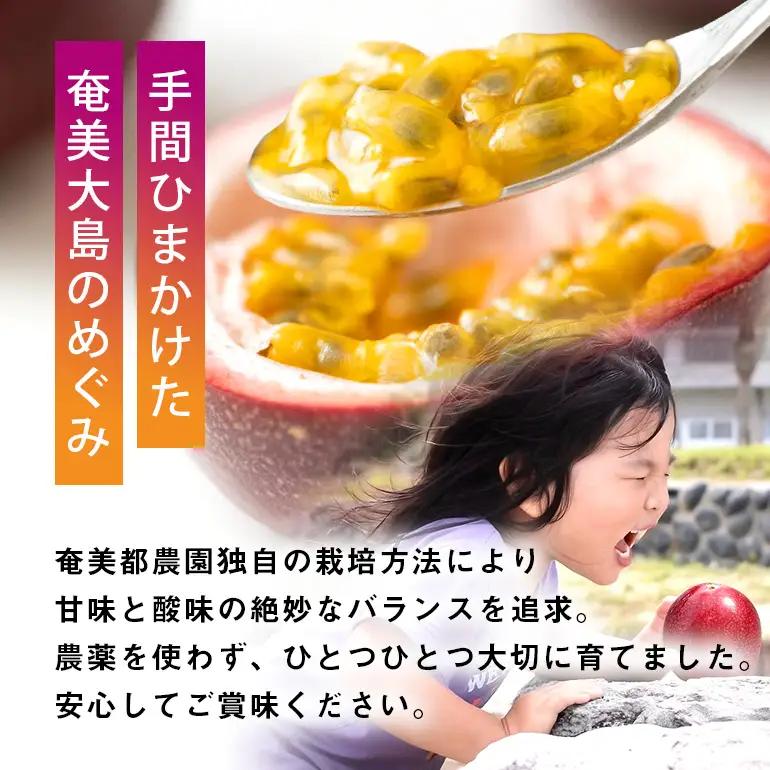 【 2026年 先行予約 】 パッションフルーツ 家庭用 約1kg A194-001-01 フルーツ 果物 南国 デザート 期間限定 限定 自然 美味しい カクテル ヨーグルト サラダ 奄美都農園 ふ