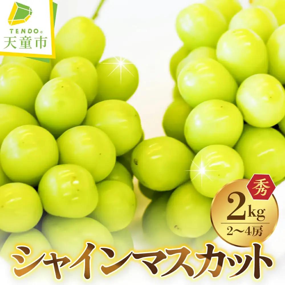 シャインマスカット 2kg 果物 ぶどう シャインマスカット