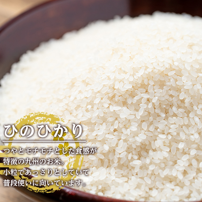 i310 鹿児島県出水市産ひのひかり＜3kg×2袋・計6kg＞ 米 6kg お米 白米 ヒノヒカリ 自家脱穀 自家精米 発送直前 精米 おにぎり ごはん お米マイスター 厳選  【田上商店】