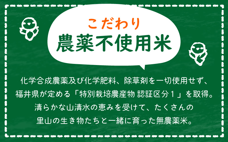 【中日賞受賞】【令和7年産】農薬不使用 特別栽培米コシヒカリ5kg【玄米】福井県認証区分1取得「田んぼの天使」越前町【5キロ お米 コメ 農薬化学肥料不使用 送料無料】 [e10-b007]