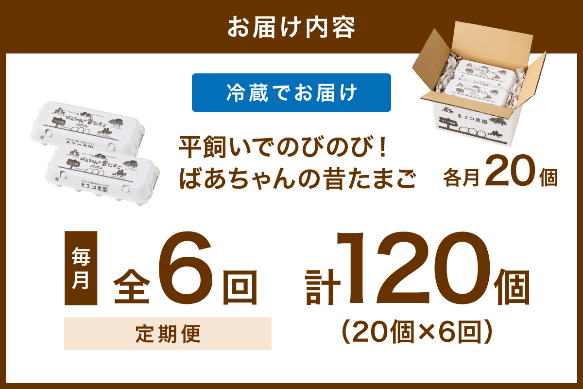 【6回定期便】平飼いで のびのび！ばあちゃんの昔たまご 20個/月 割れ保証あり 999-B1234