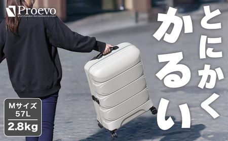 [Proevo]  13001-3 Lite Frex 超軽量ファスナーキャリーM AY383 スーツケース 超軽量 3kg以下 キャリーケース キャリーバッグ 耐衝撃 中型 薄型 静音 ダブルキャスター TSAロック搭載 カップホルダー付き PC100% ファスナータイプ 旅行 ビジネス 出張 入院 13002 (D.グレー/サンドベージュ/Mサイズ)