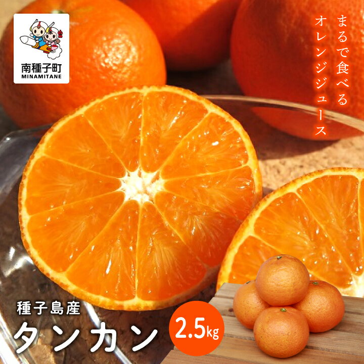 【ふるさと納税】 《 先行予約 》《 2026年2月中旬〜3月中旬頃順次発送》 種子島産 タンカン 約 2.5kg タンカン たんかん オレンジ 果物 フルーツ 食品 グルメ お取り寄せ お正月 人気 おすすめ ギフト 返礼品 南種子町 鹿児島 かごしま 【南種子町果樹部会】