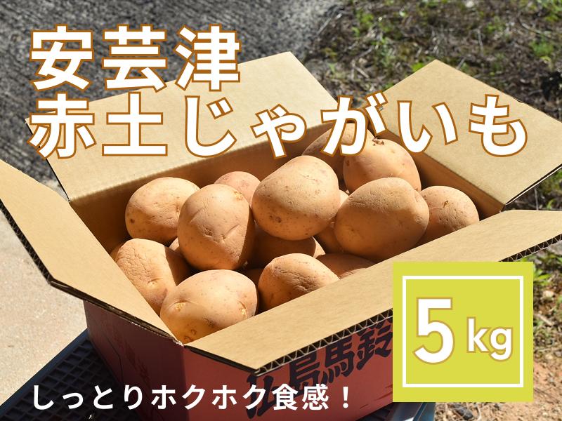 【予約商品】安芸津　赤土じゃがいも　５kg【配送時期：6月上旬～8月上旬／11月下旬～1月上旬】