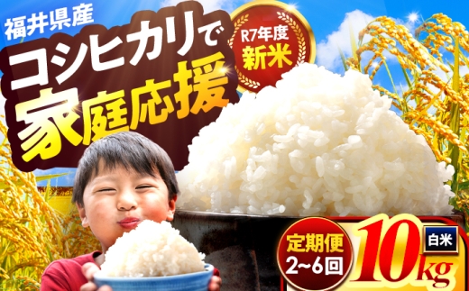 【6か月連続発送】小浜市産コシヒカリ 精米 10kg 若狭の自然が育てたごはん 国産米 福井県 / 白米 新米 地域密着 米問屋 小浜市 / 梅田東米穀店 [BFEK018]