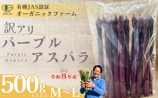 【先行予約】【訳あり】オーガニック パープルアスパラガス  M～L 500g【オーガニックアスパラ 有機JAS認証 パープルアスパラガス M～Lサイズ 新鮮野菜 産地直送 500g 春野菜 自然栽培 循環型農法  甘いアスパラガス 香り豊か 太陽の恵み 大地の恵み 野菜ギフト 旬の野菜 お取り寄せ野菜 訳あり】