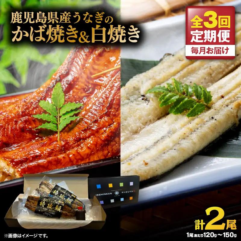 【 全3回 定期便 】 鹿児島県産 うなぎ の かば焼き 1尾 ・ 白焼き 1尾 KN174-T09 定期 ウナギ 鰻 蒲焼き 冷凍