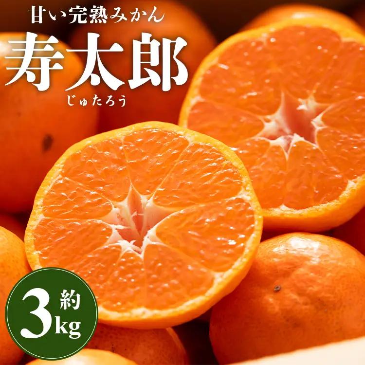 【1月中旬〜2月発送】寿太郎みかん 3kg みかん 果物 ms-0085