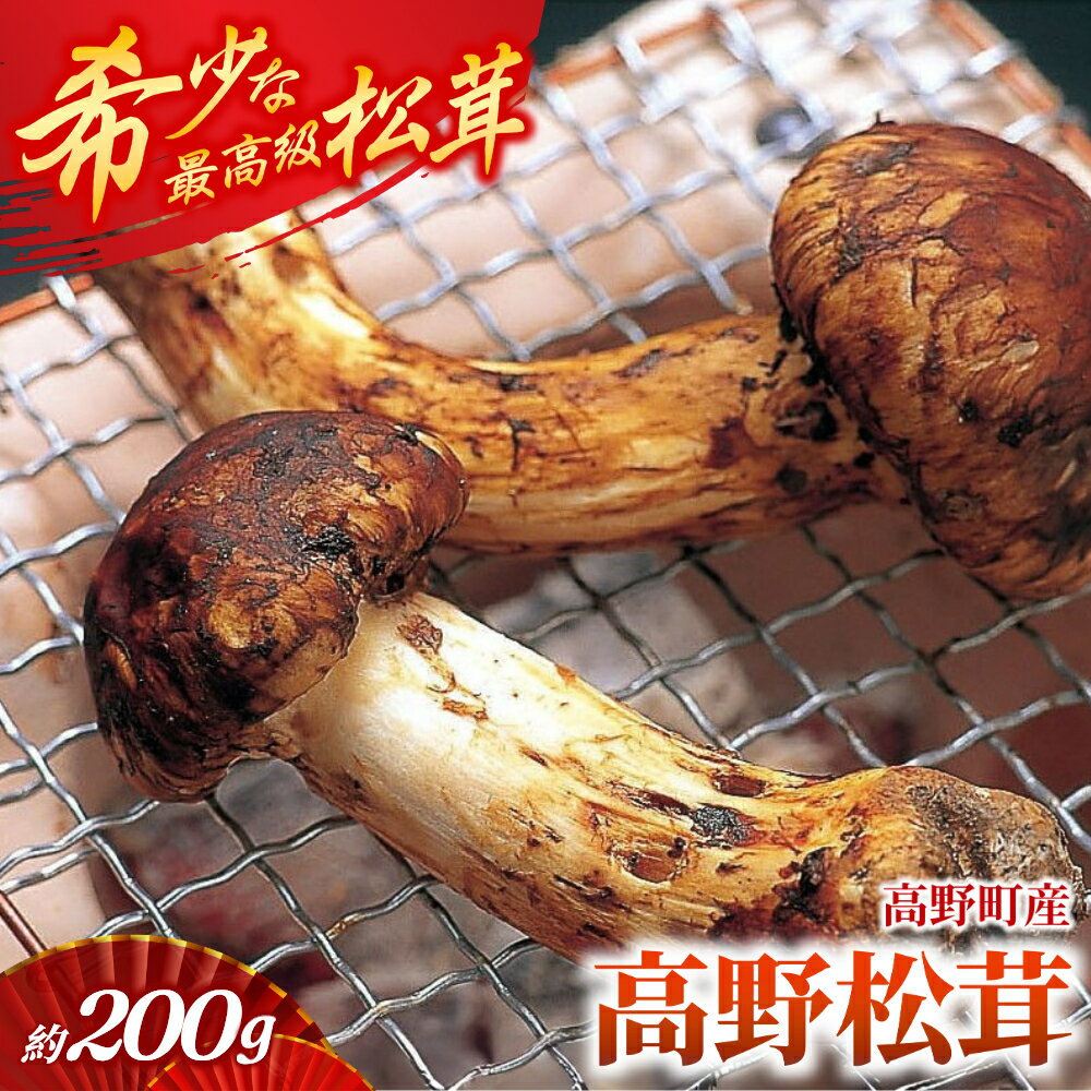香り・歯応え・味ともに最高級！希少な国産松茸「高野松茸」200g【化粧箱入】【2024年10月上旬～10月下旬発送】