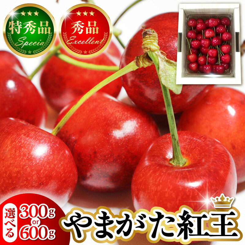 【ふるさと納税】【 2027年産 先行予約 】 さくらんぼ やまがた紅王 特秀品 選べる 300g 600g ( 300g × 2P ) 2L 3L 詰め合わせ サクランボ 紅王 特秀品フルーツ 果物 くだもの 期間限定 冷蔵配送 特産 産地直送 送料無料 人気 おすすめ 山形 東根市