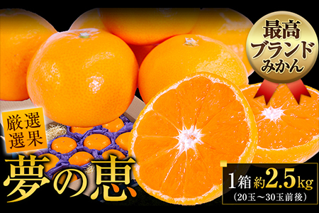 夢の恵 みかん 約2.5kg(20玉～30玉前後) 熊本県産 （長洲町産含む） 糖度12度以上 ブランドみかん ブランド 贈答用 贈り物《11月中旬-12月下旬頃出荷》 熊本県 長洲町