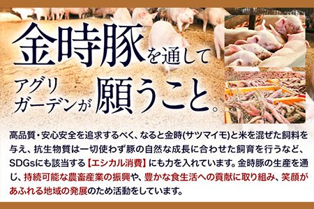 阿波の金時豚カレー 4個セット アグリガーデン 《30日以内順次出荷(土日祝除く)》