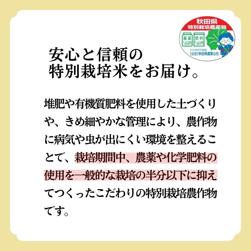 米 お米 玄米 特別栽培米 あきたこまち 3kg 秋田県産 令和6年産