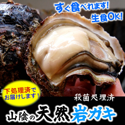 山陰の天然岩ガキ詰合せ(大きさにより5〜7個入)　牡蠣は殺菌済　下処理済　生食OK　バーベキュー【配送不可地域：離島・北海道・沖縄県・東北】【1114074】