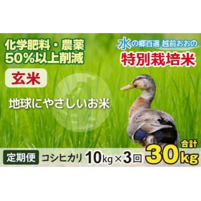 ふるさと納税 大野市 【令和8年産新米】【3ヶ月定期便】こしひかり 10kg × 3回 計30kg【玄米】特別栽培米