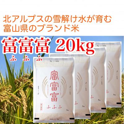 ふるさと納税 魚津市 【毎月定期便】【3ヶ月定期便】富山県産米「富富富」20kg(5kg×4袋)(精米)全3回