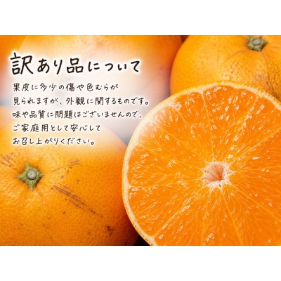 【ご家庭用訳あり】紀州和歌山産　せとか　約5kg