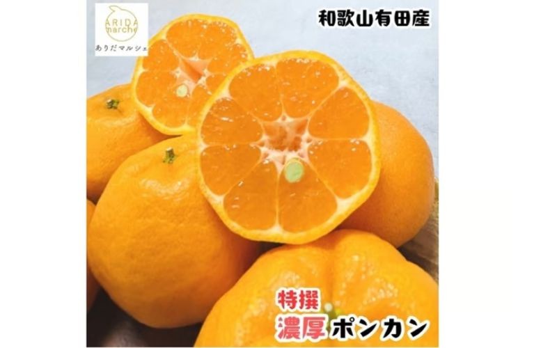 
                  【先行予約】特選 濃厚 不知火 (通称デコポン)  1kg+200g(痛み補償分)　※着日指定不可【ard256】
                