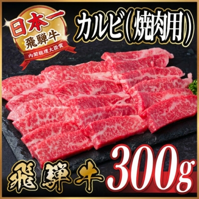 
                  飛騨牛　厳選カルビ(焼肉・BBQ用) 300g　A4～A5等級 黒毛和牛【1732946】
                