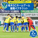 【ふるさと納税】栃木SCホームゲーム観戦ペアチケット【試合選択可能】