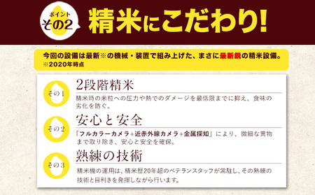 米 無洗米 令和6年産 新米 特A受賞品種 ひのひかり 森のくまさん 米 送料無料 20kg 食べ比べ ヒノヒカリ 選べる 厳選 熊本県産(長洲町産含む) 米 お米 森くま 《11月-12月より出荷予