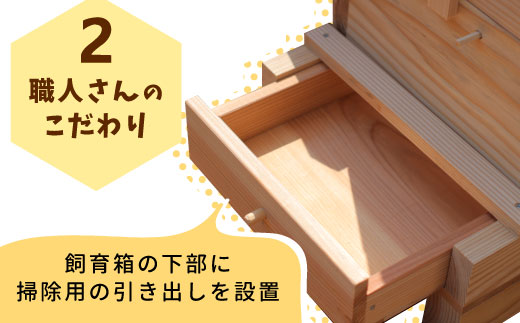 東白川村 西洋ミツバチ用飼育箱 西洋 ミツバチ 飼育 巣箱 蜂蜜 蜂 養蜂 ハチミツ 自由研究