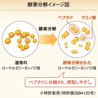 ふるさと納税 津山市 酵素分解ローヤルゼリー CoQ10(5935) |  | 02