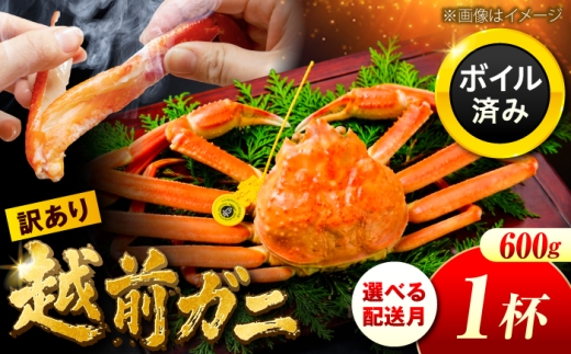 【先行予約/3月配送】訳アリ 脚折れあり 越前がに 600ｇ×1ハイ 小浜市 / まるほ商店【配送不可地域：北海道・沖縄・離島】 [BFCS062-3]