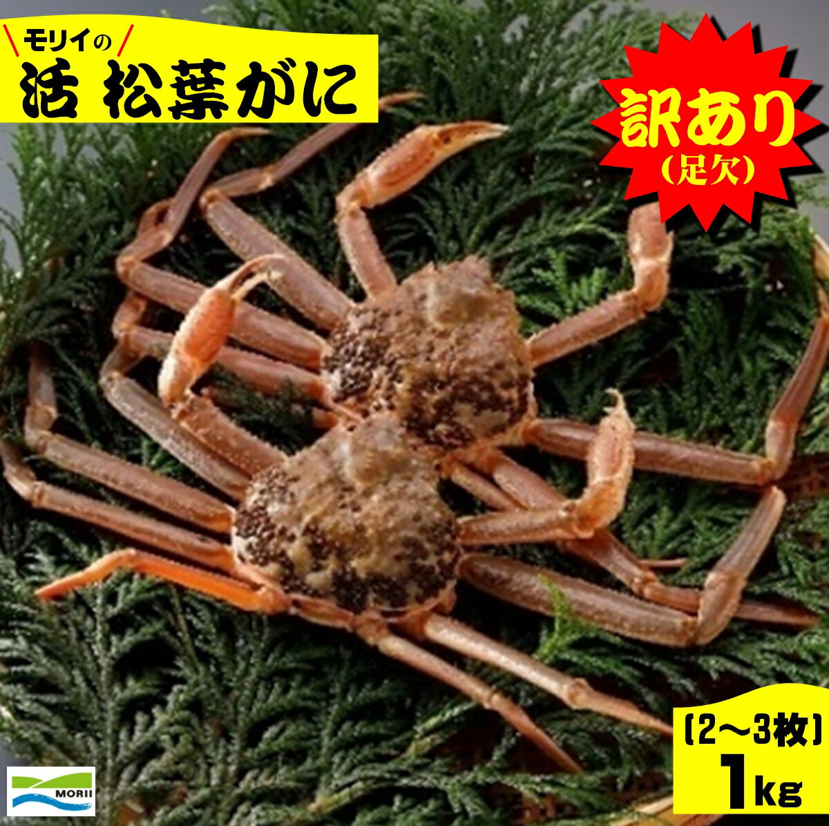 【ふるさと納税】先行予約【訳あり】鳥取県産 足欠け 活松葉がに1kg（2~3枚）冷蔵【24-050-004】モリイ食品【11月中旬～2月末の発送】