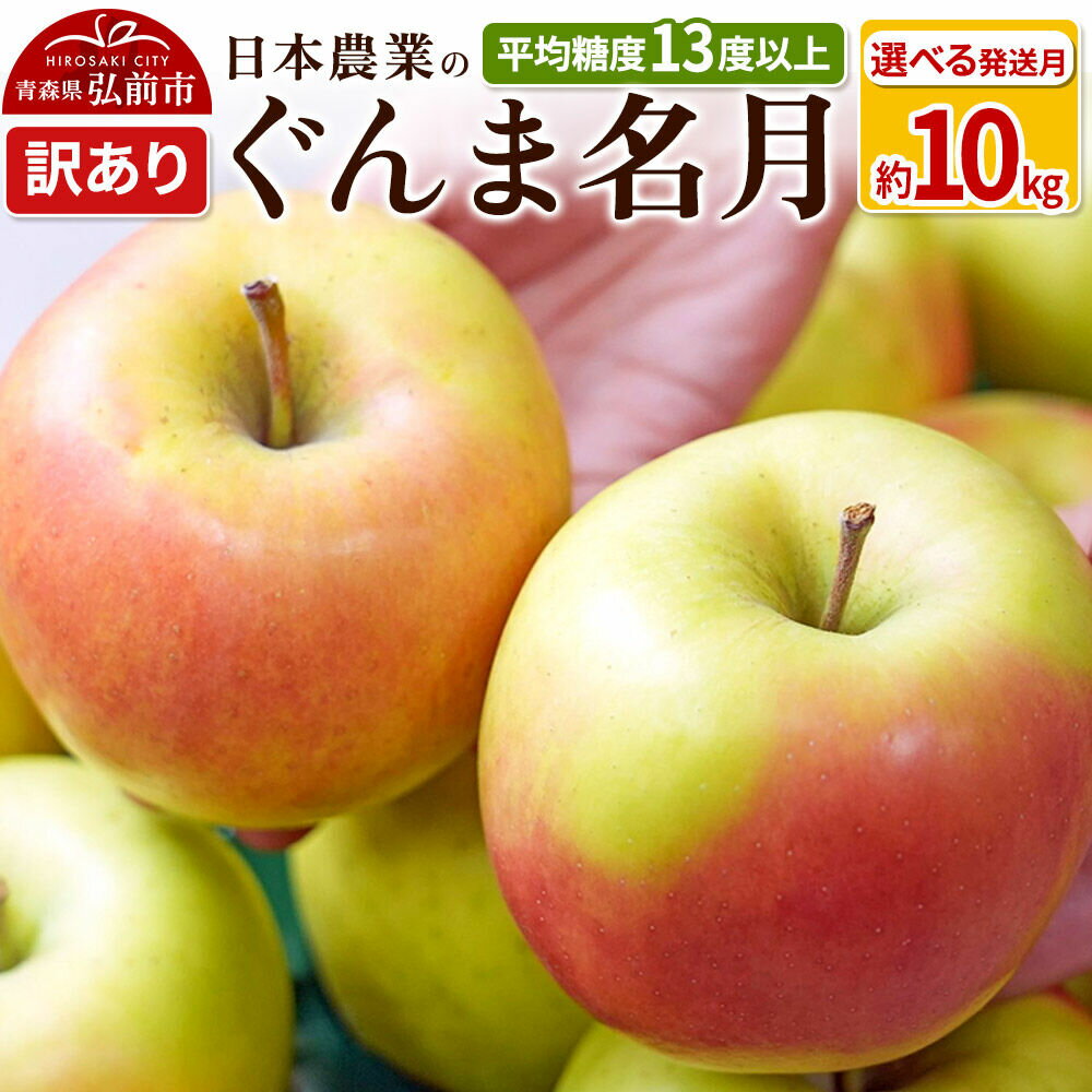 【ふるさと納税】りんご 平均糖度13度以上！ ぐんま名月 約10kg 訳あり【選べる発送月】青森 果物 フルーツ 林檎 リンゴ くだもの 不揃い 規格外 [リンゴ 林檎 アップル 果物 産地直送 フルーツ]