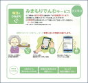 【ふるさと納税】《 小松市内 》郵便局のみまもりサービス「みまもりでんわサービス」（固定電話、6カ月間）小松市 みまもり サービス 電話 ランキング おすすめ 小松市 こまつ 石川県 ふるさと 故郷 納税 022002【日本郵便株式会社】